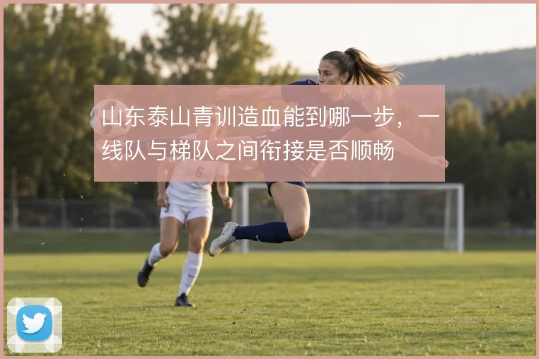 山东泰山青训造血能到哪一步，一线队与梯队之间衔接是否顺畅